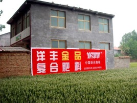 台州市如何让墙体广告展现最大化效果