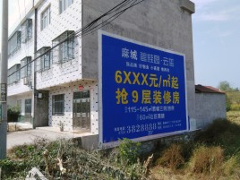台州市墙体广告质量分析